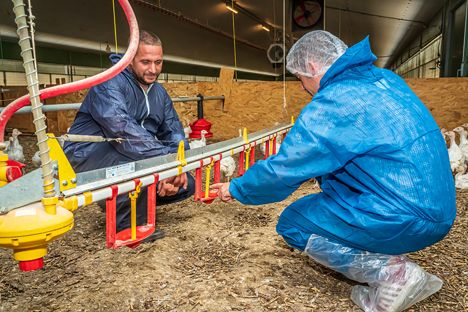 Elevage_RM Elevage_RM