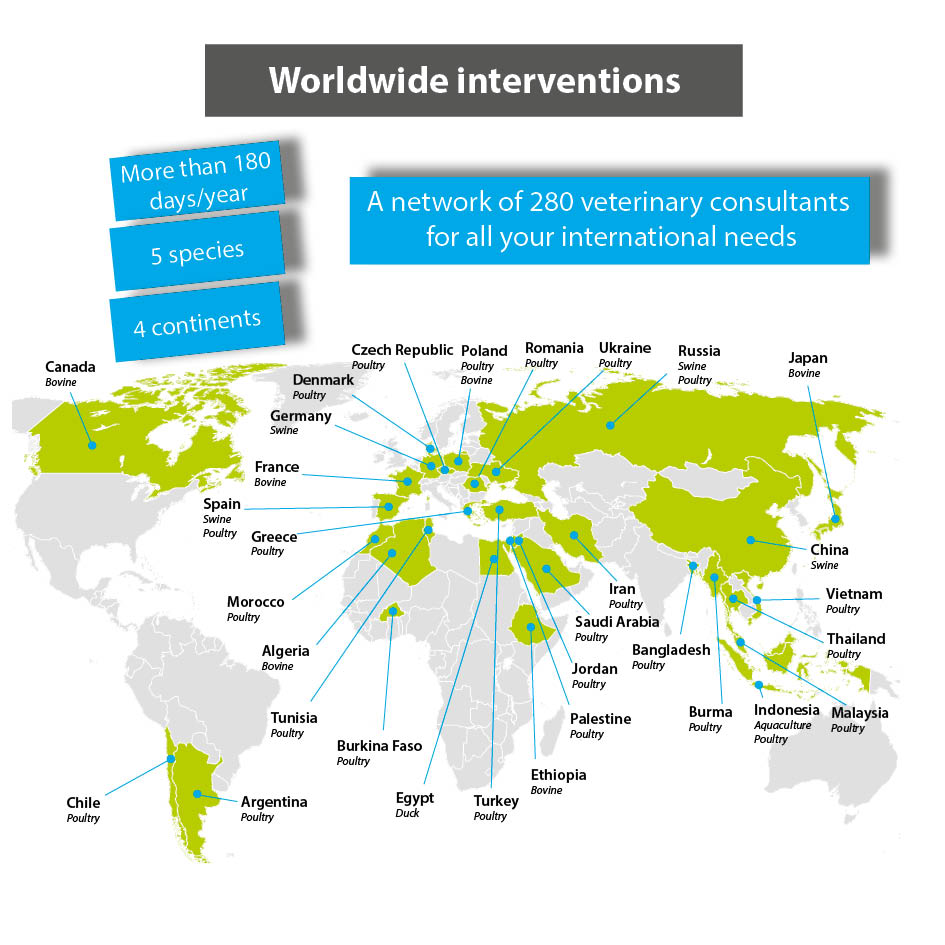 Carte-international-EN