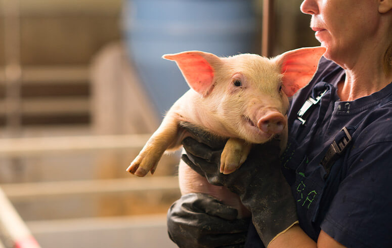 expertise-conseil expertise-conseil