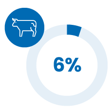 schema-representation-filieres-bovin
