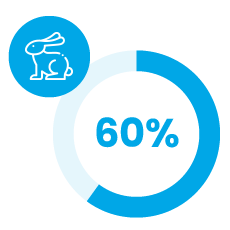 schema-representation-filieres-lapin