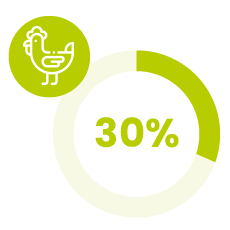 schema-representation-filieres-volaille