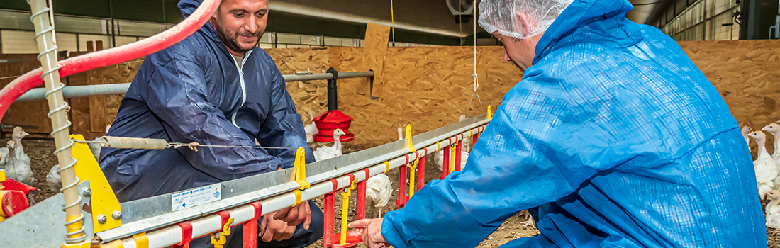 slider-accueil-expertise